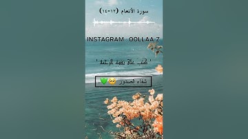 سورة الانعام بصوت القارئ عبدلله الموسى , مقاطع انستقرام