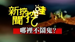 新聞挖挖哇:哪裡不鬧鬼20150825 (索非亞 林正義 戴志揚羅友志)