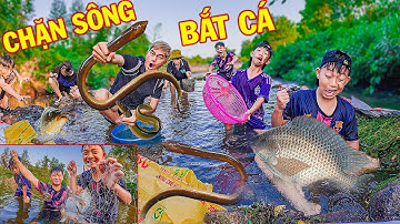 Thái Chuối Tát Cạn Sông Bắt Cá Và Lươn - 1 Ngày Kiếm Ăn Ngoài Tự Nhiên