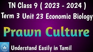Prawn Culture| Class 9 Science Term 3 Unit 23 Economic Biology