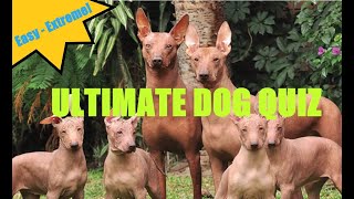 ULTIMATE DOG BREED QUIZ!!  (Easy to Extreme)