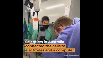 Lab-grown brain cells play Pong computer game