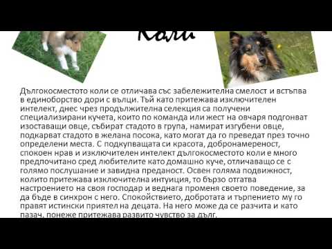 Видео: Сезонът на бурята посещава домашни любимци, където боли. Но добре ли е да седирате?