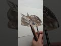 Q&amp;A drawing animals with colored pencils
