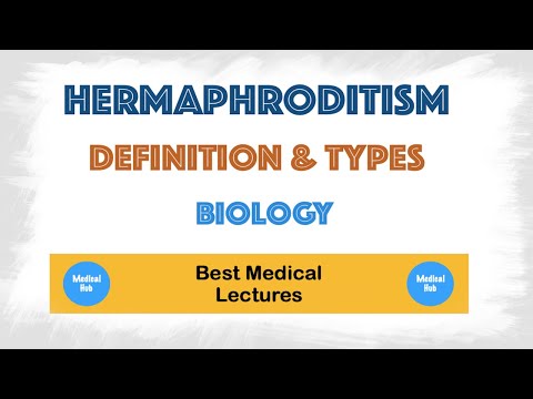 Hermaphroditism | Definition | Types