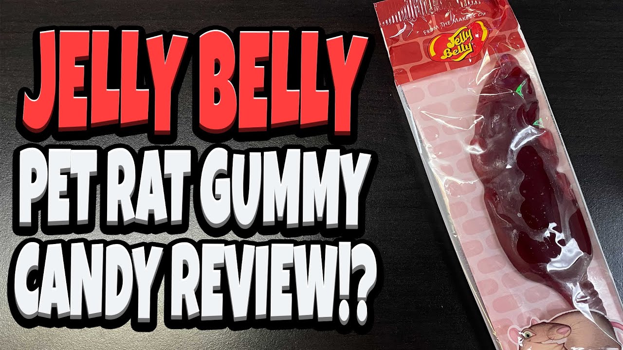 Jelly Belly Pet Rat Gummy Candy