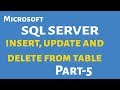 Insert, Update & Delete From Table (Part-5) | SQL Server Bangla Tutorials