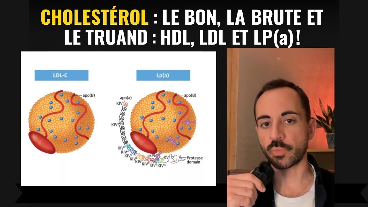 Cholestérol : le bon, la brute et le truand : HDL, LDL et LP(a) #cholesterol #cardiologie #ldl