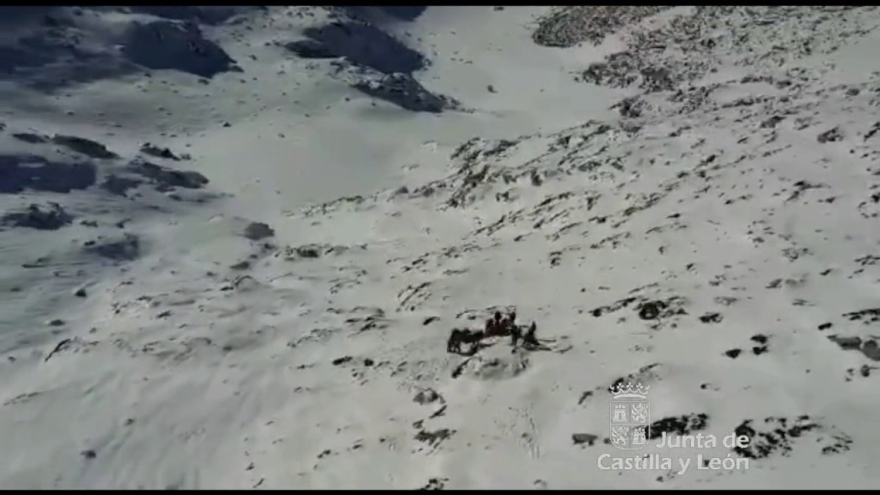 Rescatado un montañero herido en el pico La Mojonera (León) - YouTube
