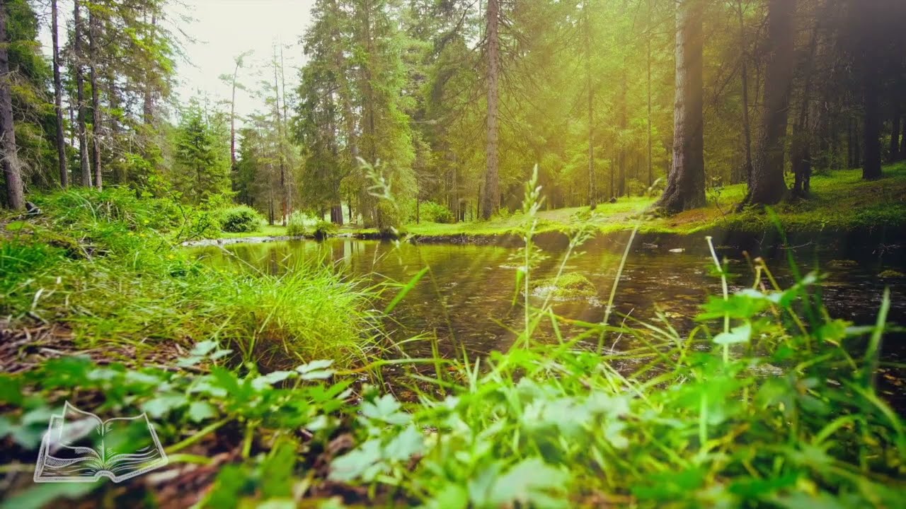 ၂၀၂၅မှာဘုရားသခင်ပြုခဲ့တဲ့ကျေးဇူးတော်တွေကိုချီးမွမ်းရန်နှင့် ၂၀၂၆ကိုချီးမွမ်းခြင်းနှင့်ဝင်စားရန်။