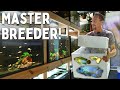 I Wasn't Expecting This Master Breeder to Sell Me These...