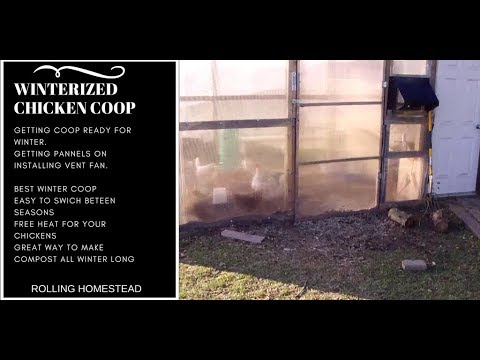Cold Weather Chicken Coopchicken Run Heating With Compost