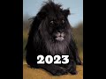 2024 black lion and 5000 bce black lionblacklionviralshorts