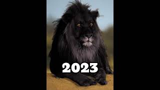 2023 Black Lion and 5000 bce Black Lion#blacklion#viral#shorts.