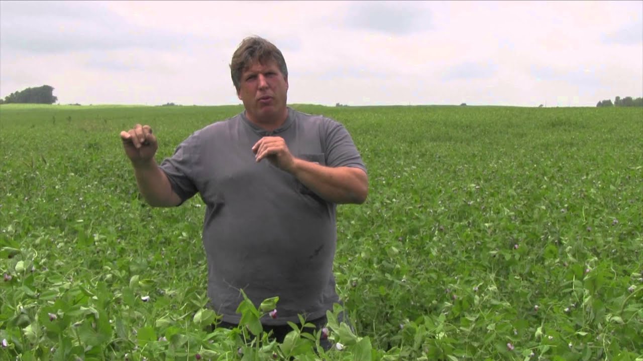 August 2015 Organic Field Days YouTube