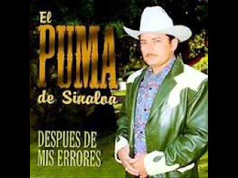 el puma de sinaloa canciones