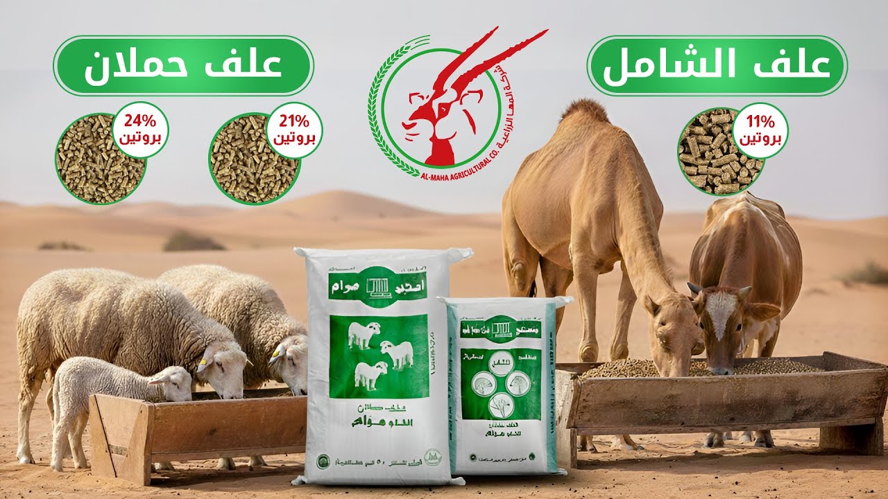 أعلاف المها السعودية خاص لتسمين المواشي