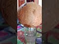 FRESH COCONUT WATER 🥥💧 | Natural &amp; Healthy Summer Drink #Shorts #CoconutWater #HealthyDrink #coconut