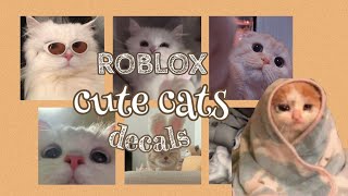 Roblox Cute Cat Decals || aueie