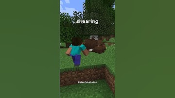 We Added Bears To Minecraft