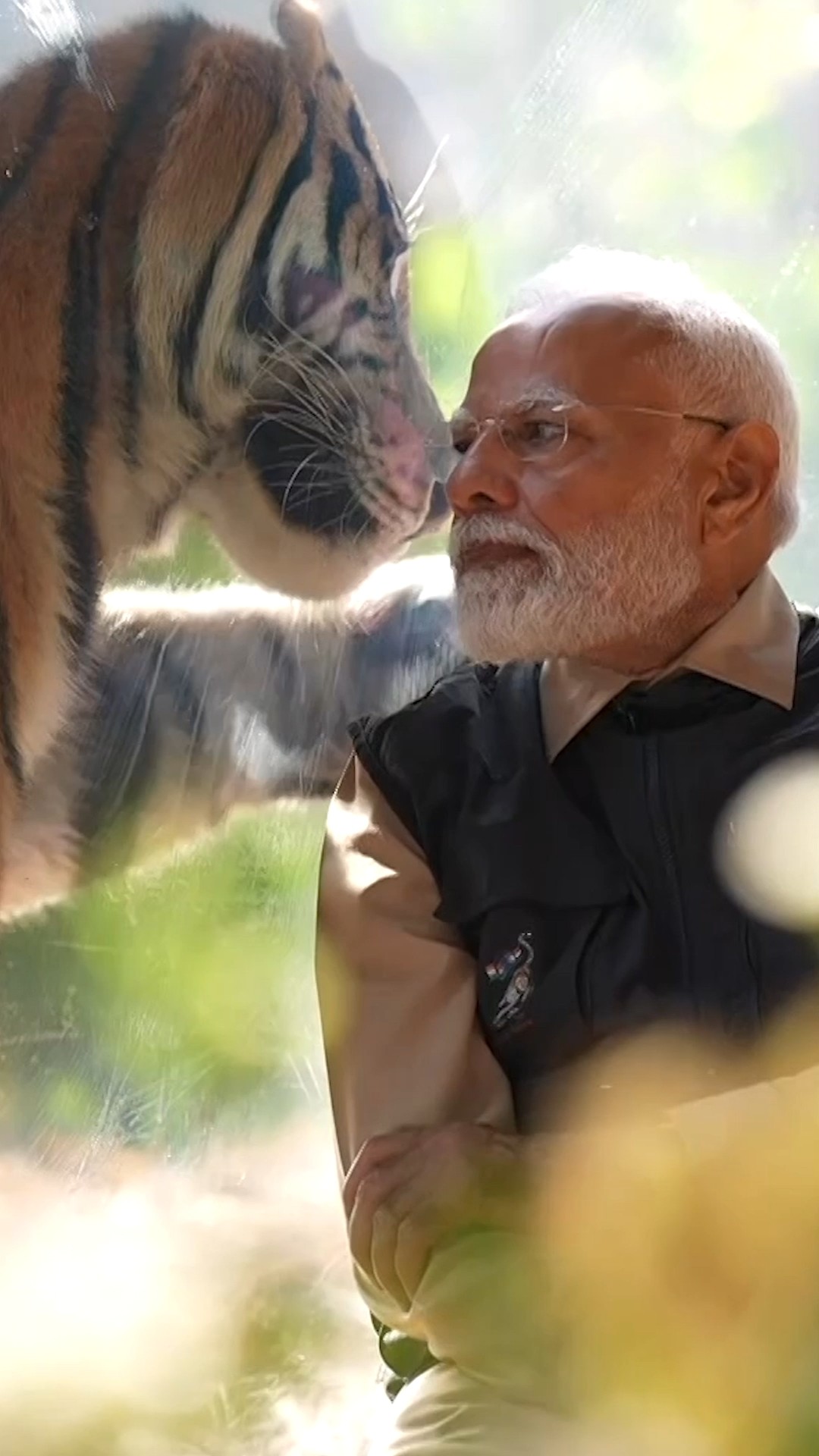 PM Modi explores Vantara \u0026 bonds with rescued animals