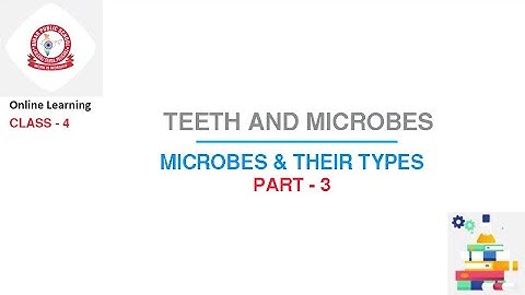 Class 4 Science : Teeth and Microbes | Part - 3 | Microbes & Their Types