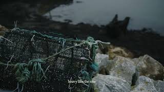 Kingfishr - The Rose Official Visualiser