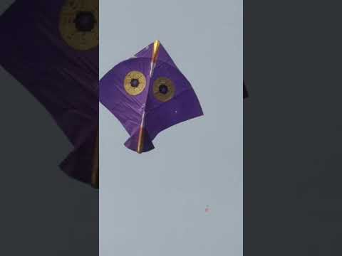 6 tawa kite