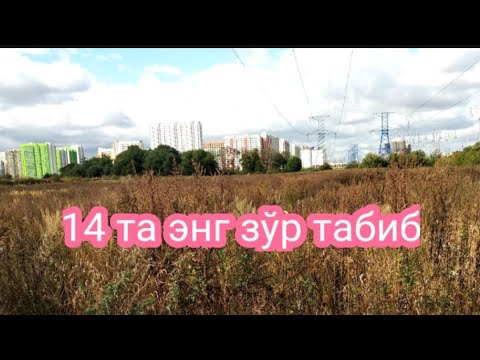 Соглик учун энг зур табиблар