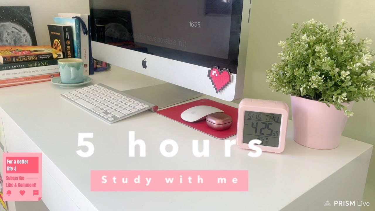 🔴LIVE STREAM | study with me 5 hours 60/10 📚🌷🖇️| for a better life ...