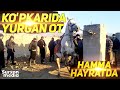 17-DEKABR SURXONDARYO SARIOSIYO PAYSHANBA OT BOZORI NARXLARI