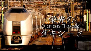 【常磐線】651系0番台普通列車としての活躍