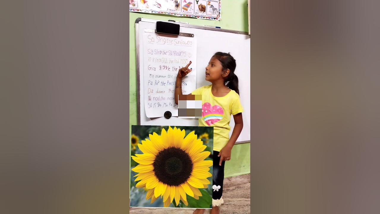 Sa sing the sunflowers song with lyrics sa sing the sunflowers
