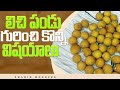 లిచి పండు గురించి కొన్ని విషయాలు | Litchi Fruit Health Benefits Telugu |Litchi Fruit |Shahid Wonders