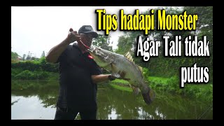 Tips Hadapi  Ikan Monster Agar Tali Tidak Putus!