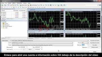 XM | Tutoriales MT4  Pruebas retrospectivas de asesores expertos | Divisas