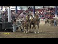 Syracuse,NY 2017 Lightweight Horse Pull  3800-4000 lbs