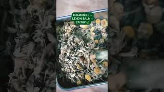 Haven Herbs - Best Damn Tea