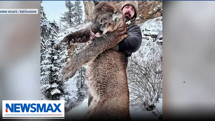 Former NFL player Derek Wolfe kills mountain lion for terrorizing community