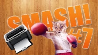 Animality. Видео 7: Коты атакуют - Cat attacks printer - Jealous Cat To Mobile Animality. Видео 7: Коты атакуют - Cat attacks printer - Jealous Cat To Mobile