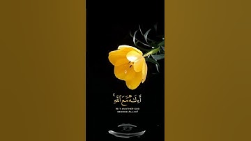 صباح الخير💛اجمل حالات واتساب مقاطع قصيره💛قران كريم سورة النمل أمن يجيب المضطر💛احمد النفيس بدون حقوق