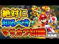 一気見総集編 マリオカートワールド最強情報まとめスペシャル これさえ見ればOK 一気見総集編 マリオカートワールド最強情報まとめスペシャル これさえ見ればOK