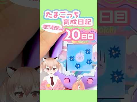 【#たまごっち】お世話を放棄しているわけではありません！ #tamagotchi #Vtuber #shorts