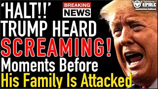 Trump Screams Halt! But That Doesn’t Stop Attack On His Family!