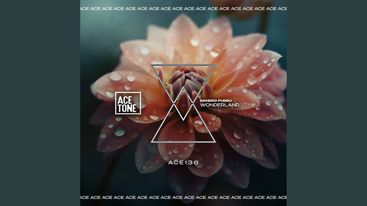 YouTubeでWonderland (Original Mix)を視聴