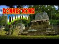 Donkey Kong Country - Voices of the Temple