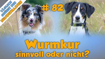 Warum erbricht Hund nach Wurmkur?