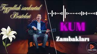 Kum Zambaklari