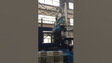 Pallets mould testing