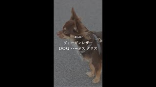 【ヴィーガンレザー ＤＯＧ ハーネス クロスの付け方】 #shorts